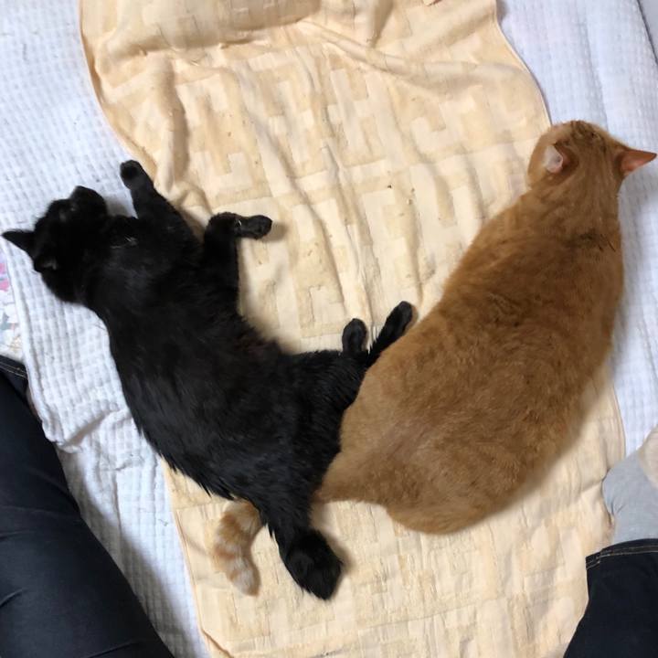 Eadffabc 99a5 4a11 a0a9 b6aca9a6ec75 1593088821157