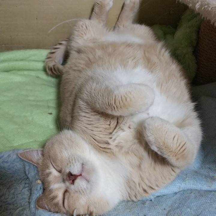 Eae01ab0 7cf7 40c0 84fe a1a6be1d1d33 1543806616647