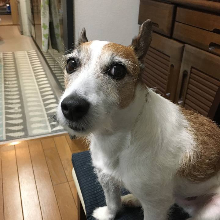 Eae020b5 e111 4ace a1f2 45d711ef5762 1624150141960