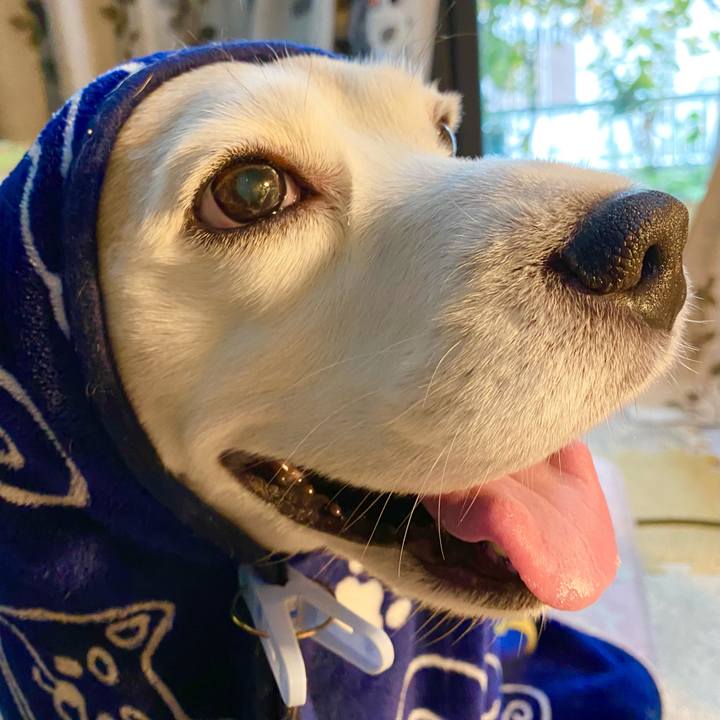 Eae093c7 01a7 4fc1 8b18 05d7ee0b0c28 1621405927093