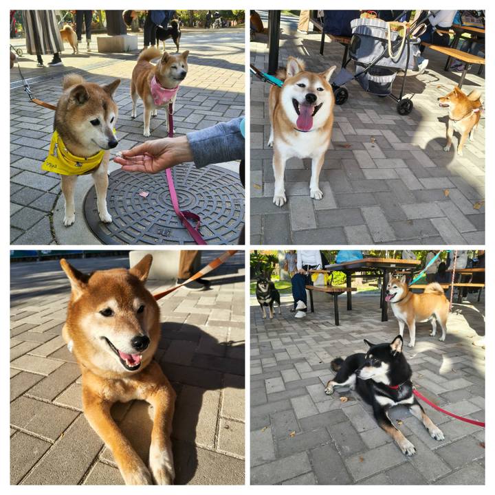 Eae0b997 ae3e 4989 b9c3 3f00d80c0107 1763436420355