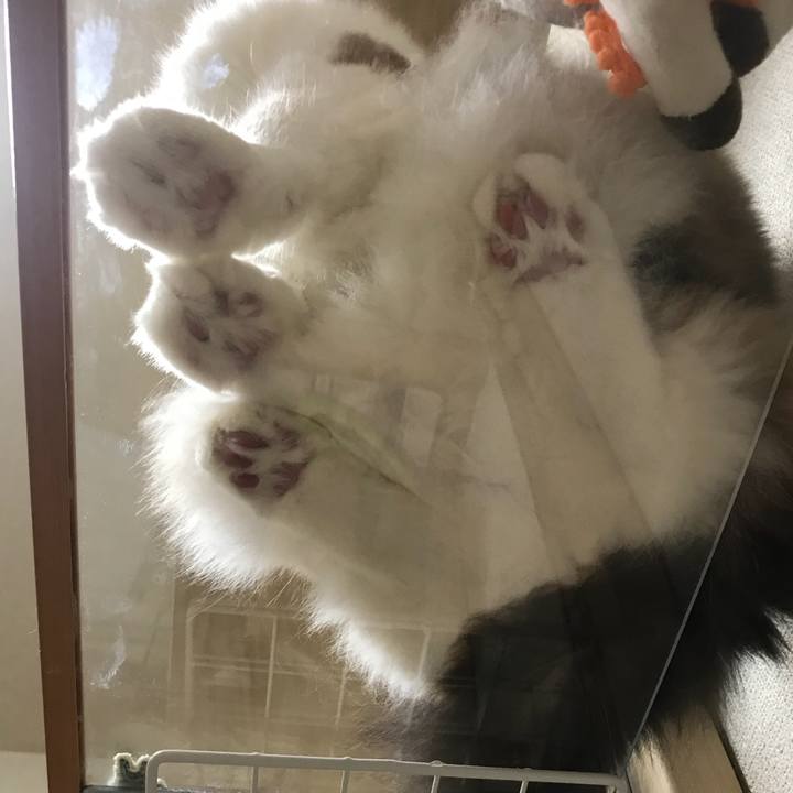 Eae0e16f e706 4aec b523 cab81487bcaa 1535063837334