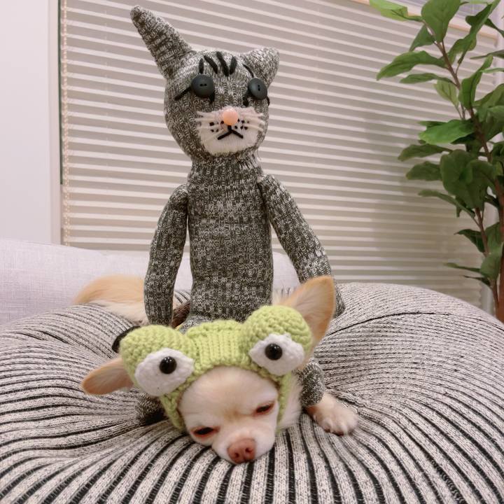 Eae0f3f9 a621 48a5 93e1 22d46b6d5fbe 1688286542805