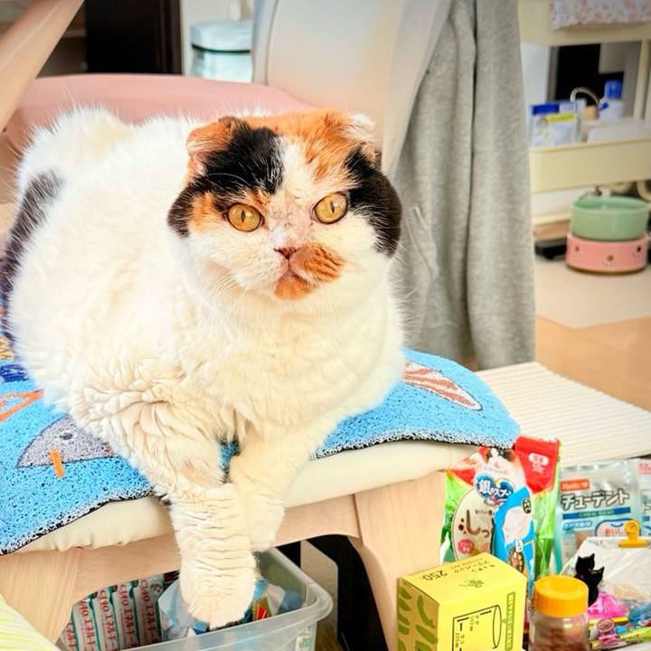 Eae10011 0047 4119 a29c 0f18dc659a53 1760444072557