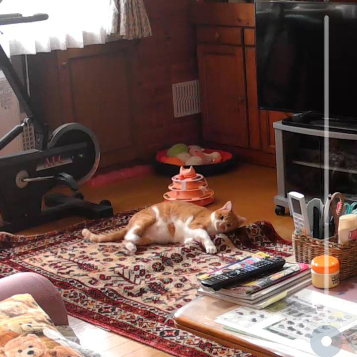 Eae10c22 b570 4866 b722 e858c449c725 1719391617270