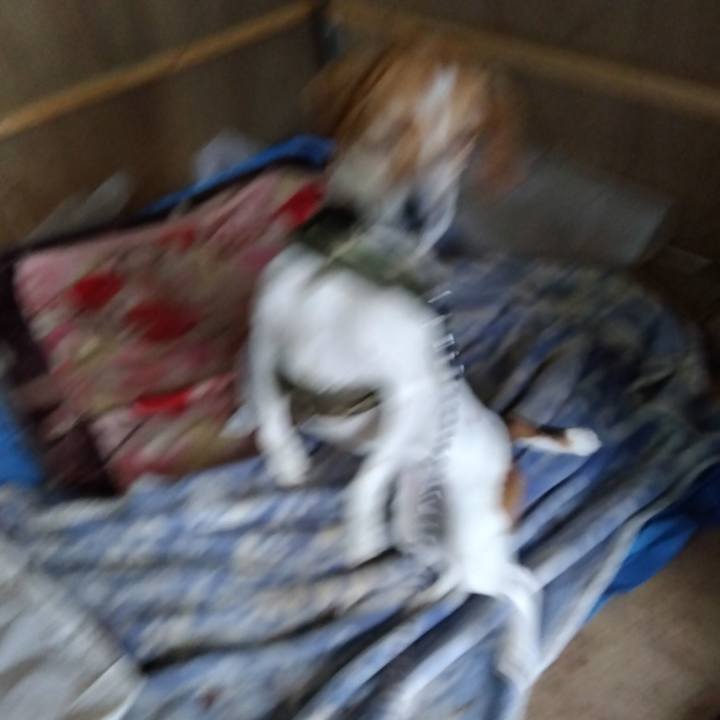 Eae11540 08f9 4194 8c8a c716deedd7ab 1681826170096