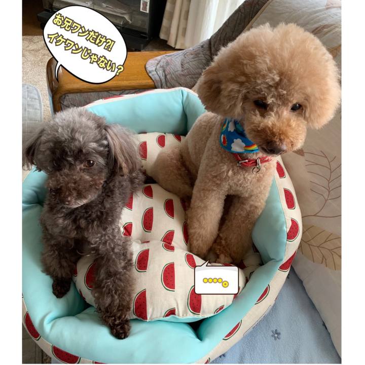 Eae11d37 1c66 4a4e 8c0d 1369f68bdaa6 1564032493964