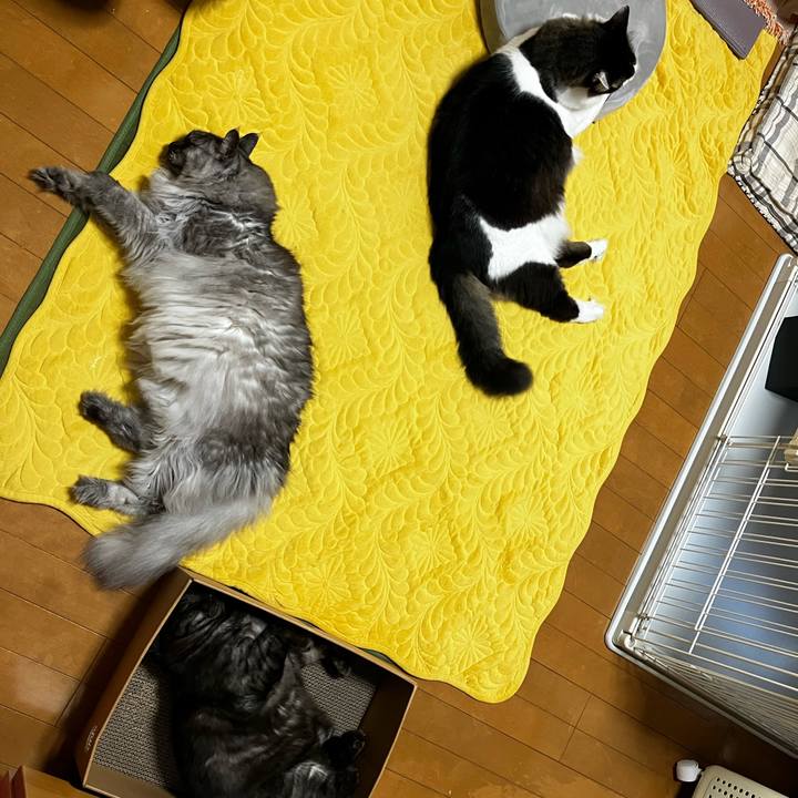 Eae13ecc f2e0 481a 973c 928aa49a17e9 1735518560715