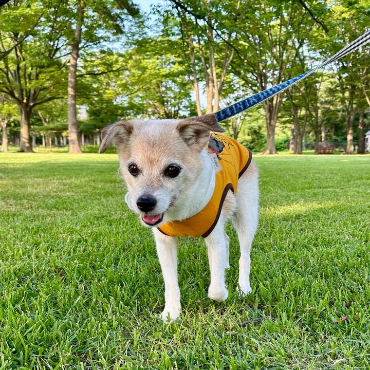 Eae14215 a5f3 474f a685 fe48dfaeffc0 1751715309701