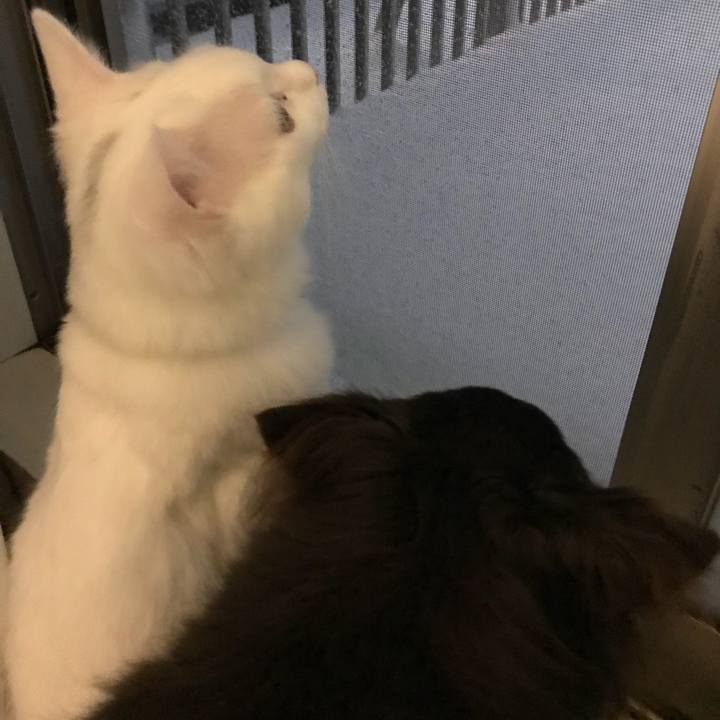 Eae14ba7 99b0 4b52 9d8a daa3cb167cfa 1516611771506