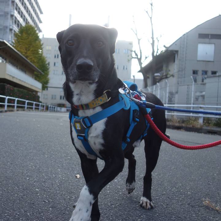 Eae14c8f 3db1 493b a8a3 f2f49d78298f 1607040140998