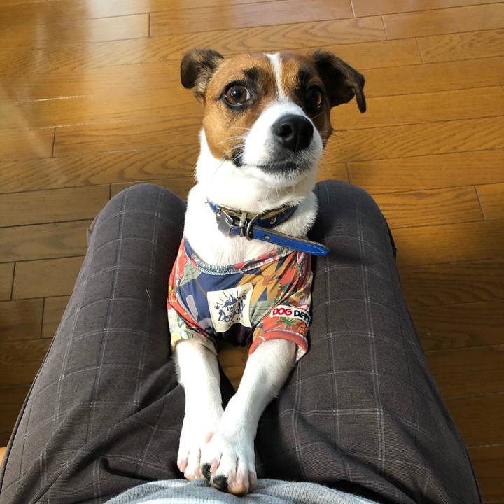 Eae16fa7 495f 42a1 8cdd e841198253b9 1595552627794