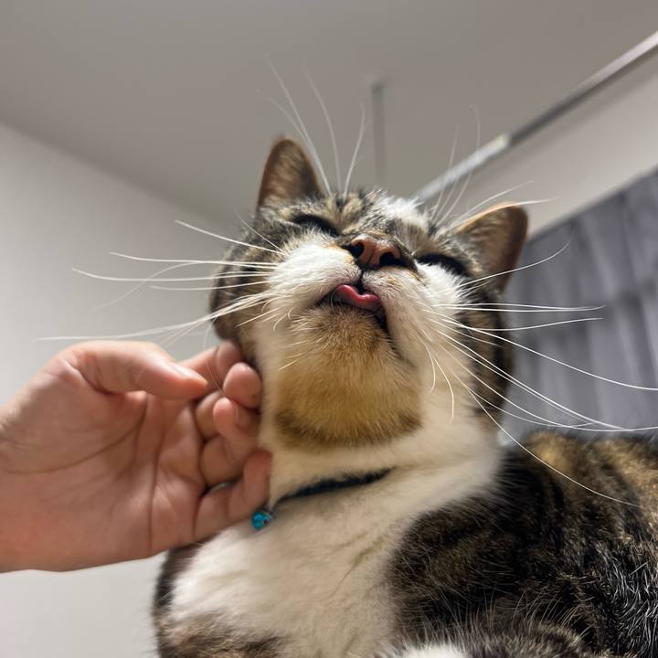 Eae17449 5d40 4fa4 8fe0 45bf2f676cd1 1758189396489