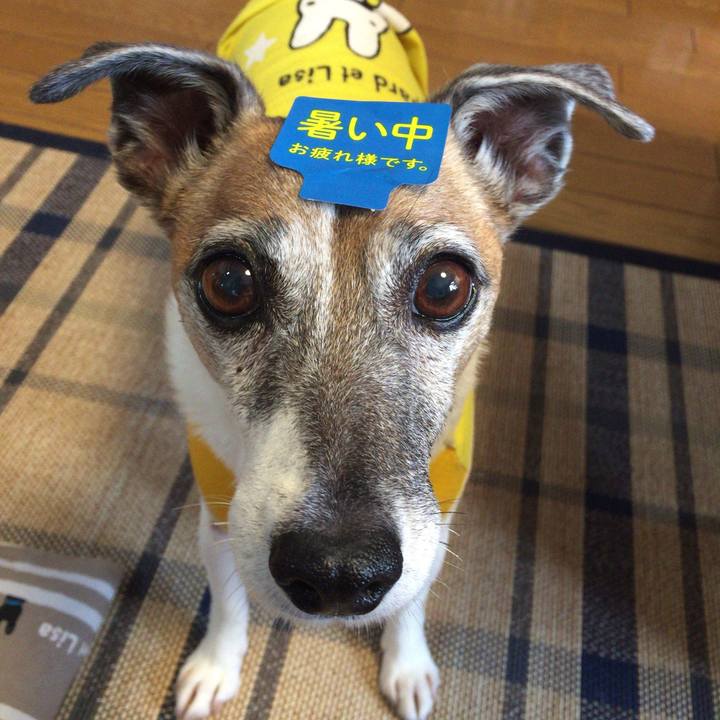 Eae1c161 69a0 49d5 95d2 63fb058bc331 1754828210866