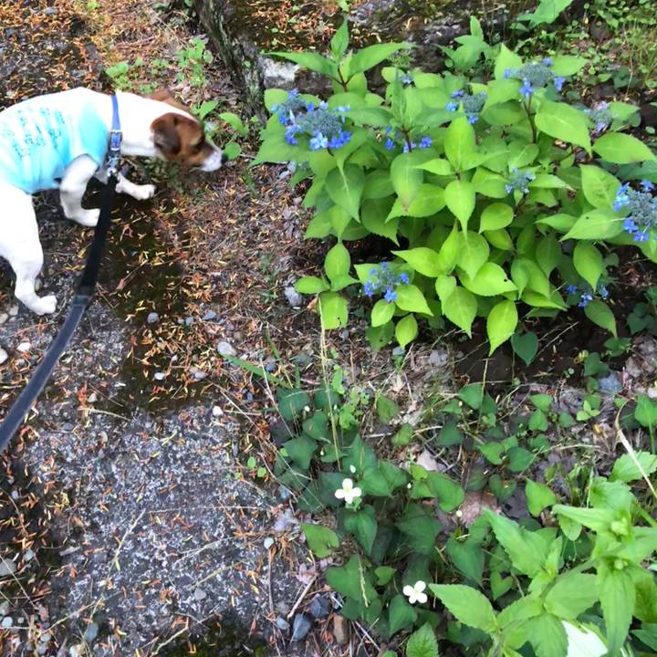 Eae20df1 3d23 4cf2 bd9c 810f03bbd8eb 1528801769153