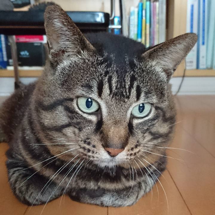 Eae218f9 7b5f 4a42 9c5e dd558b7e6a86 1535233816864