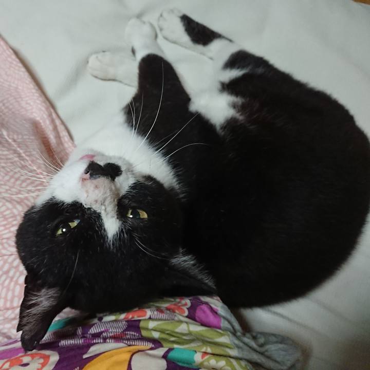 Eae22031 8fbd 45b9 8bb9 f9a4cddca1c4 1595457842000