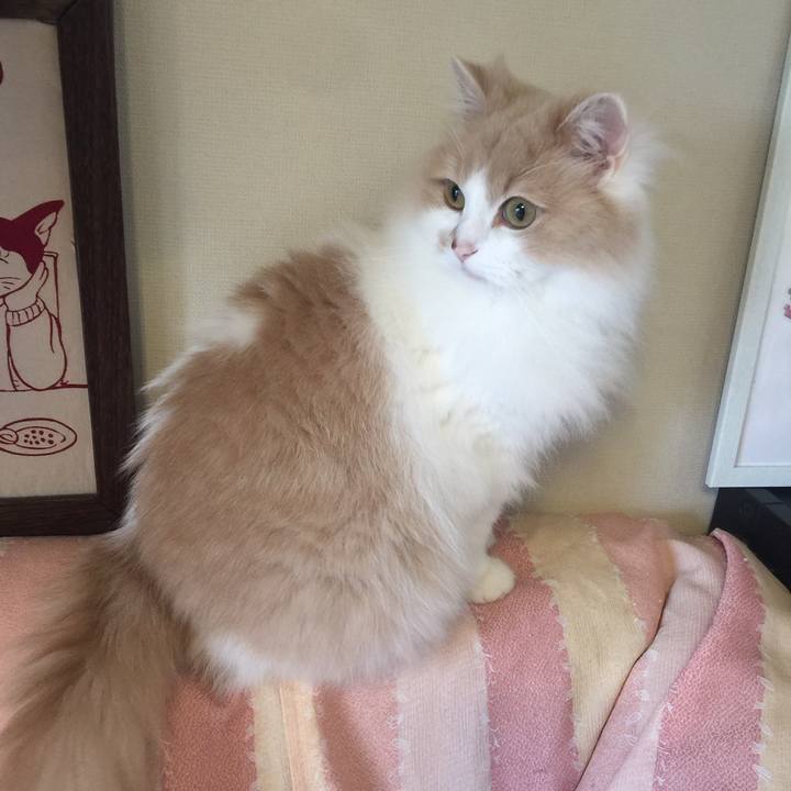 Eae227f4 fd8f 4d90 bc6f 146919ad6ce2 1558344637082