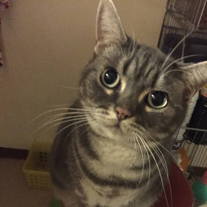 Eae22e1f be49 4dca b20c 69254f1a79c4 1510872384180