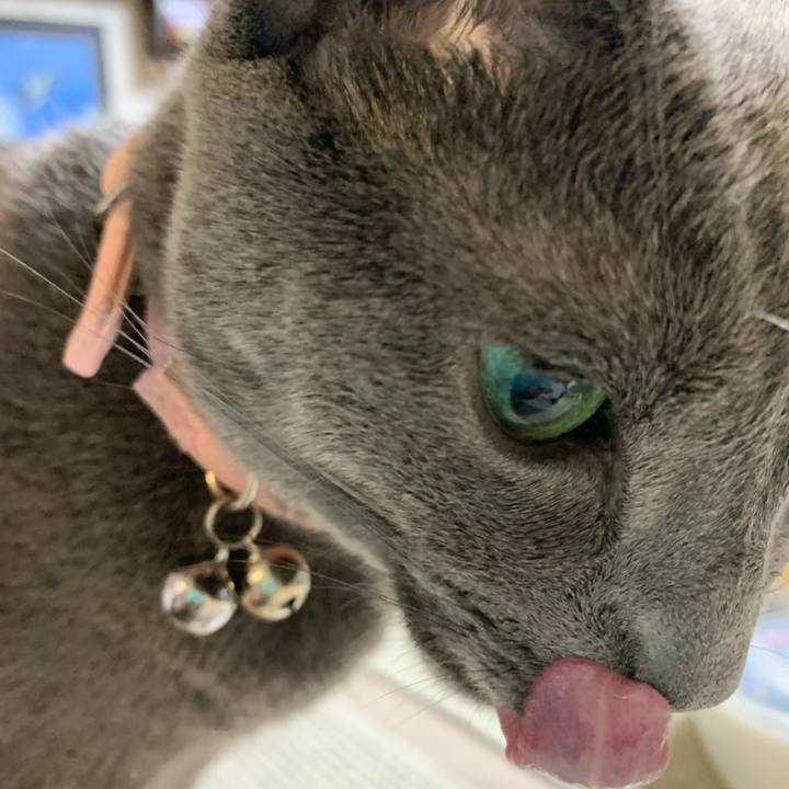 Eae2e828 5f74 45db a481 544353bca02c 1573991359643