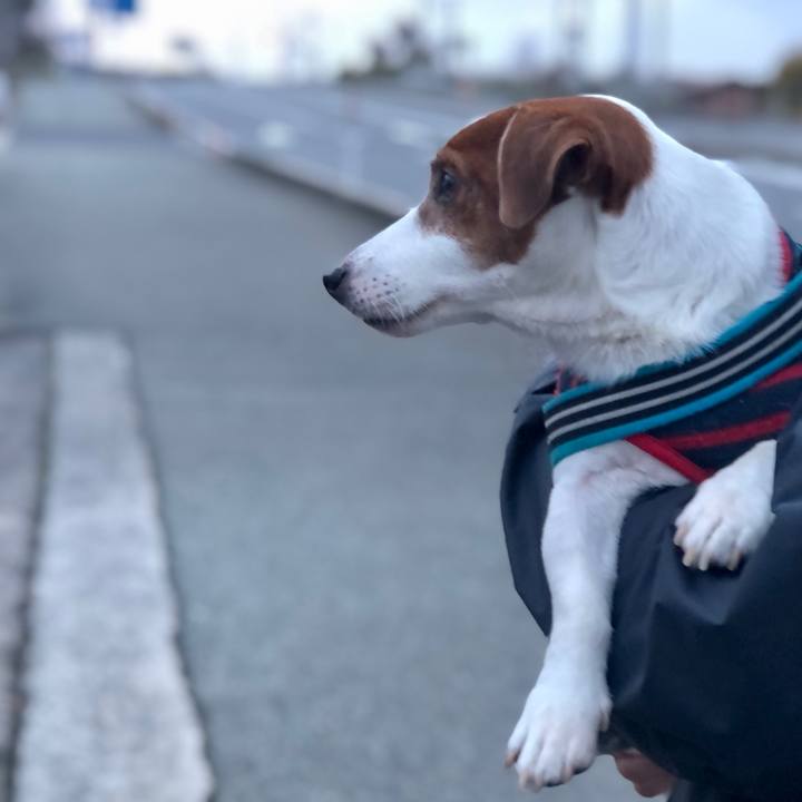 Eae30ee0 b495 48e6 9452 aea5d91e358a 1702014509400