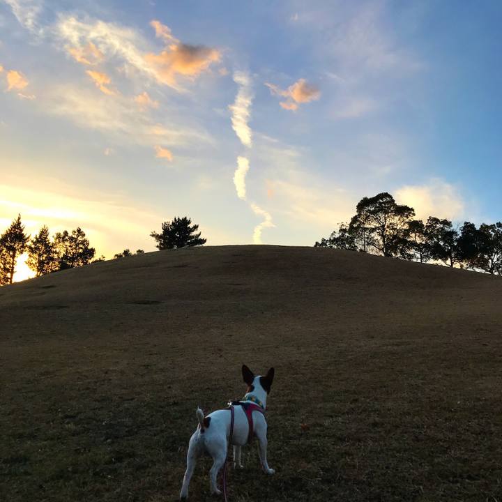 Eae31ae5 6c3d 4985 afb7 d8ce1e0bd647 1513245479429