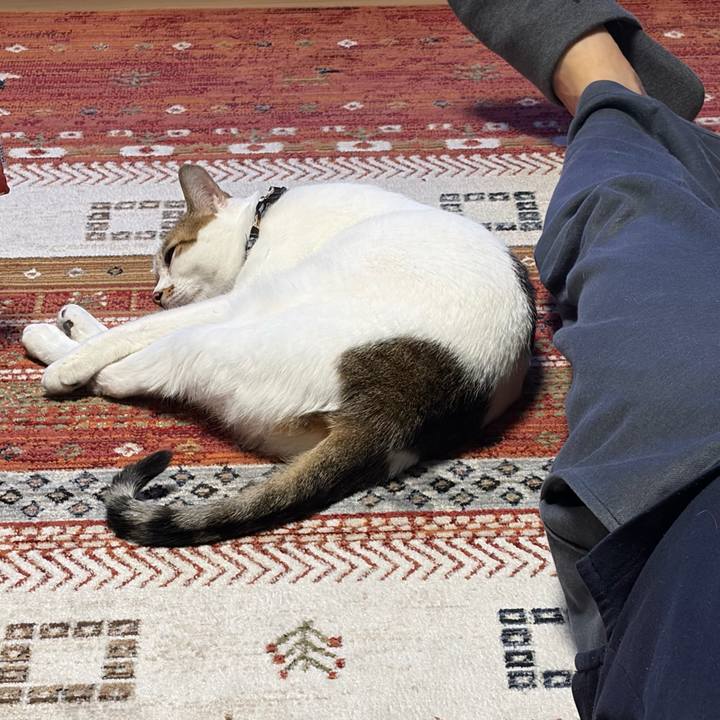 Eae36bf1 98b5 49b7 9c35 e2639eb4a69b 1769339559654