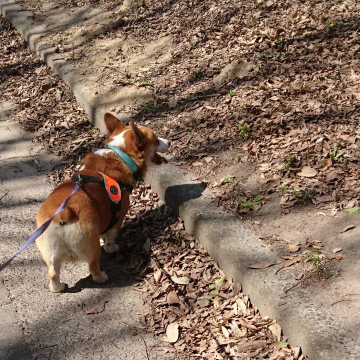 Eae37612 6581 4fed b92b b14ce4cf0157 1677813293601