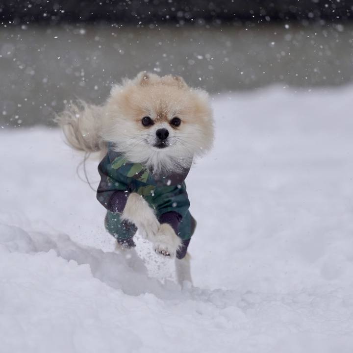 Eae38a57 586d 45ca a15a 00ae4e0fd39d 1767256148095