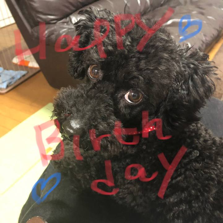 Eae39f20 1310 4f0d a776 372b2b56874b 1555407833806