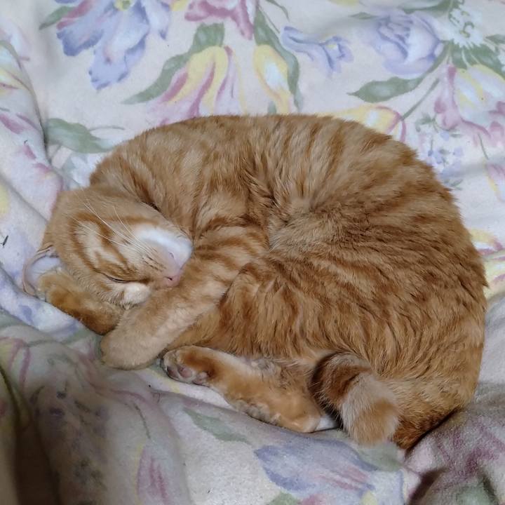 Eae3bf6b f548 4318 aa32 4ef9c3db753b 1670155731098