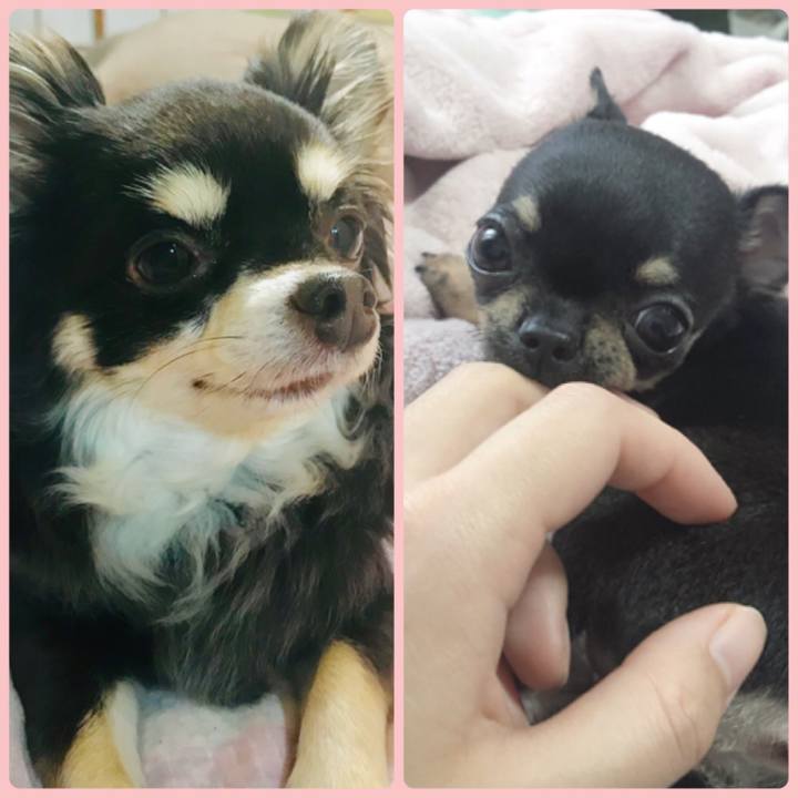 Eae3d05e 12b6 408b 9a11 c81ac5ded2ed 1556755582842