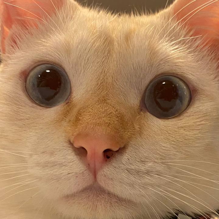 Eae3e610 1347 48de b463 c99805c4e1df 1599918195006