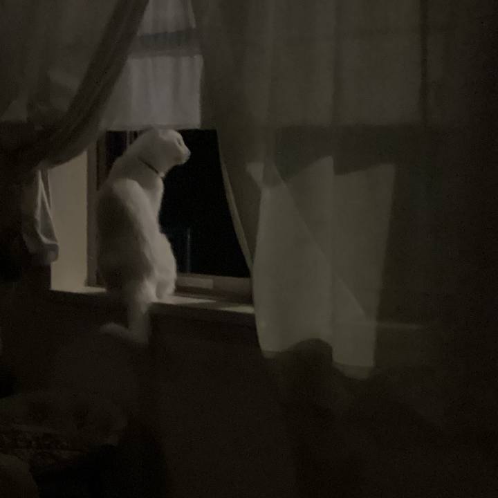 Eae3f13e 229e 4f07 a55a c618aa9161fe 1667900305446