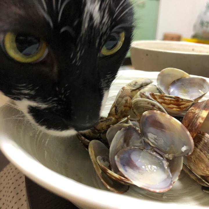 Eae40ed7 12ae 4120 8c70 9f00c18c5780 1551490246338