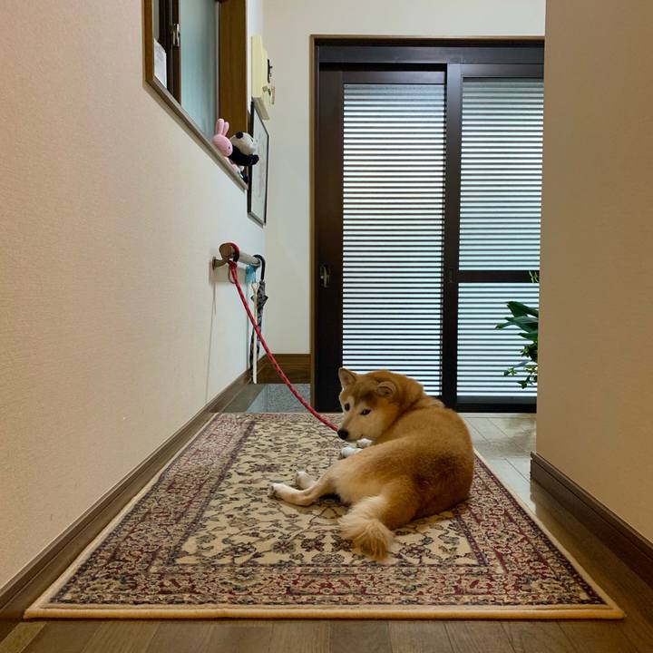 Eae42abb 82d4 4ca7 a71d 37fdbdb257c9 1694423016584