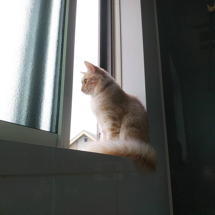 Eae44be0 52f5 44b4 938b cf0d439f07f7 1619323010598