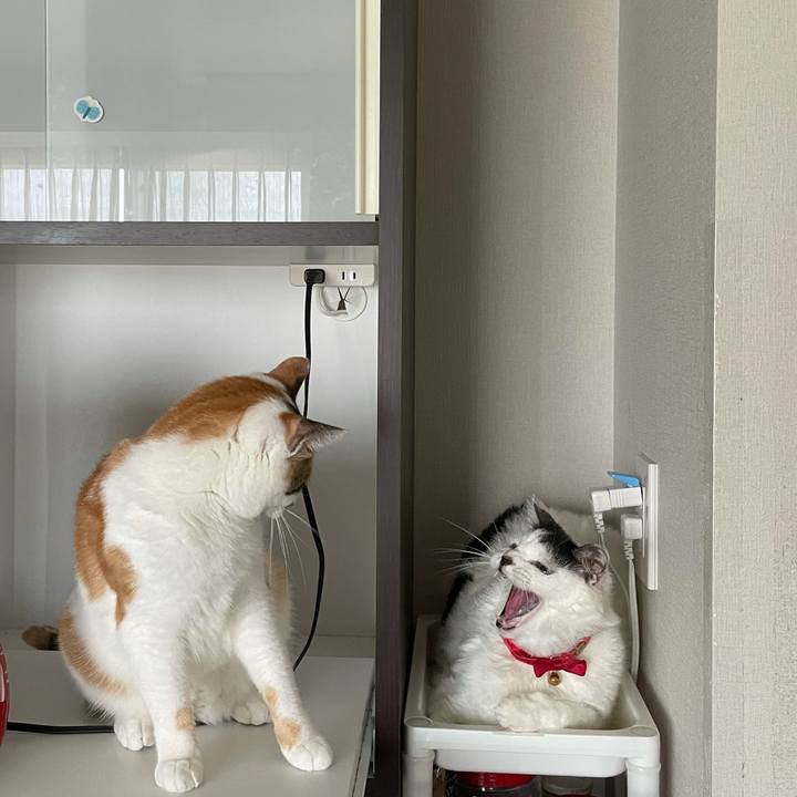 Eae46973 ecdb 4ab2 b85a ca123d8b7163 1624246058031