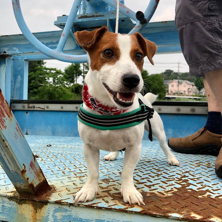 Eae50528 de73 4c20 b283 2f05835a4e7d 1598497376123