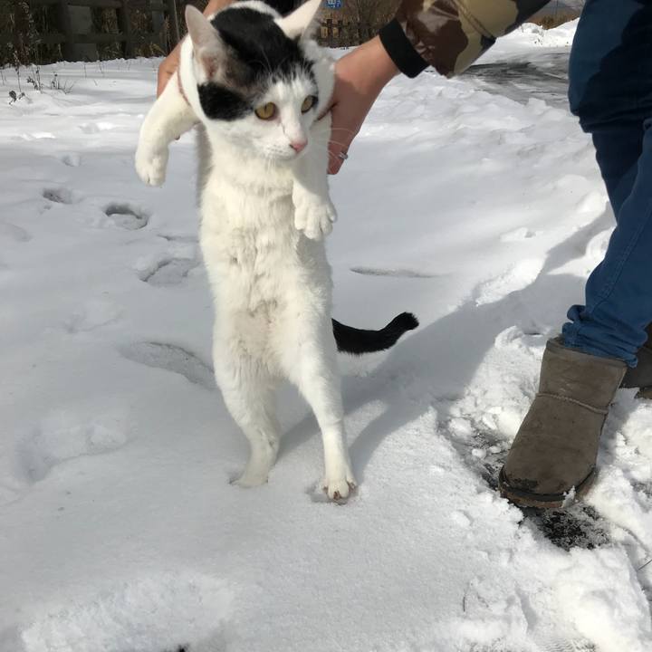 Eae58865 b483 4c21 a171 b49ff555f690 1515217061276