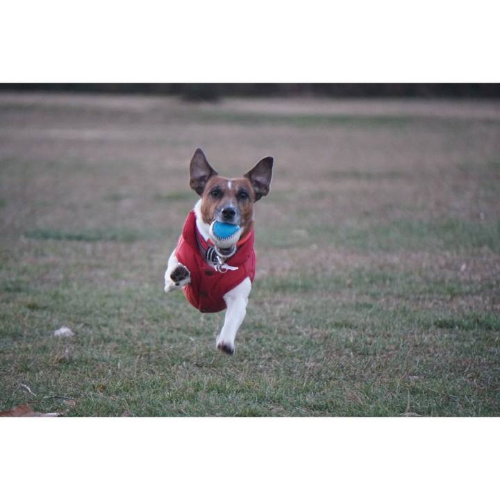 Eae5bf20 7e31 4a53 ad21 2c0c36751ad5 1546316113016