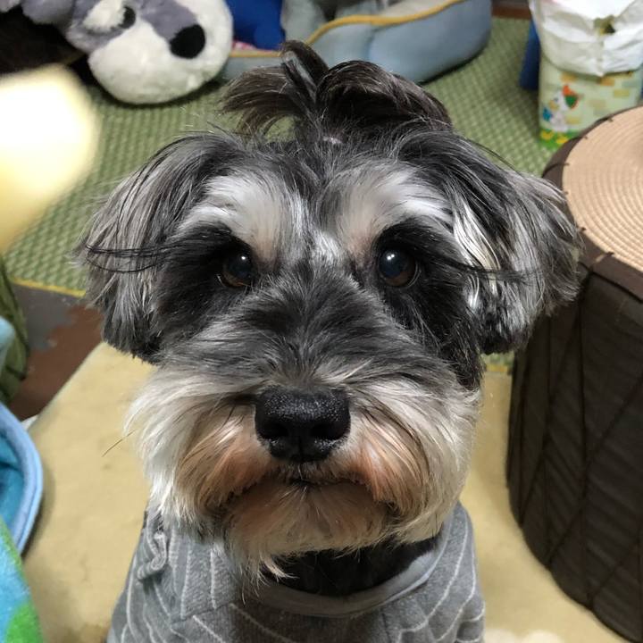 Eae5d05d 76c0 4813 a782 f013aa1fd890 1545219322949