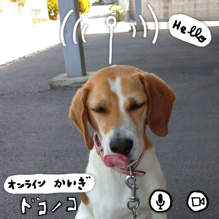 Eae5dde6 4587 4195 8608 d2d059ae4986 1592880261756