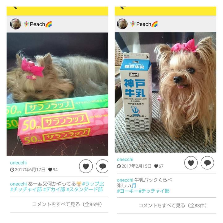 Eae61d7d c251 472f 8487 2e12ee0f1ddc 1585051201522