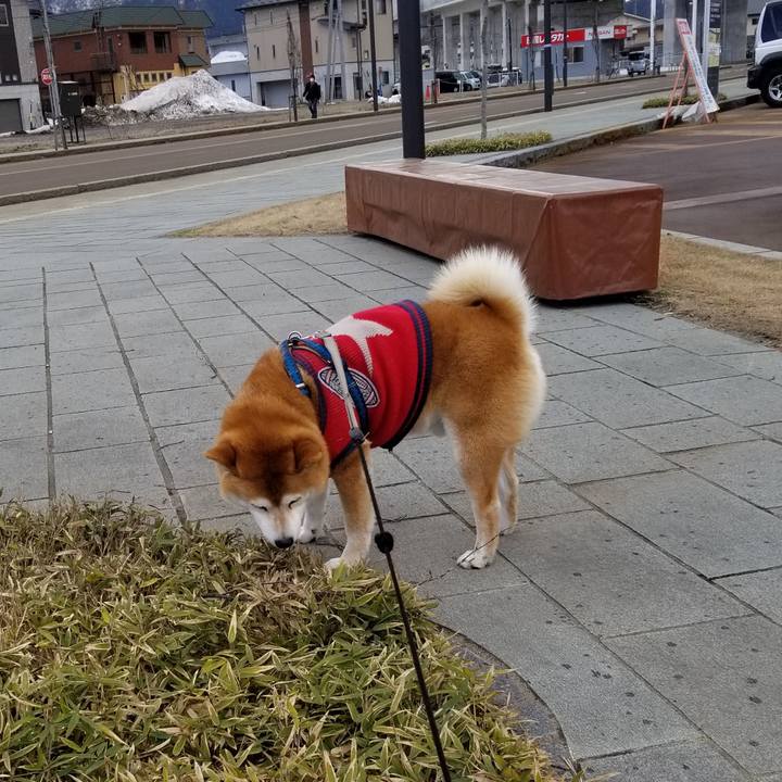 Eae67423 0e2b 4de9 a321 e01771a74009 1552445617972