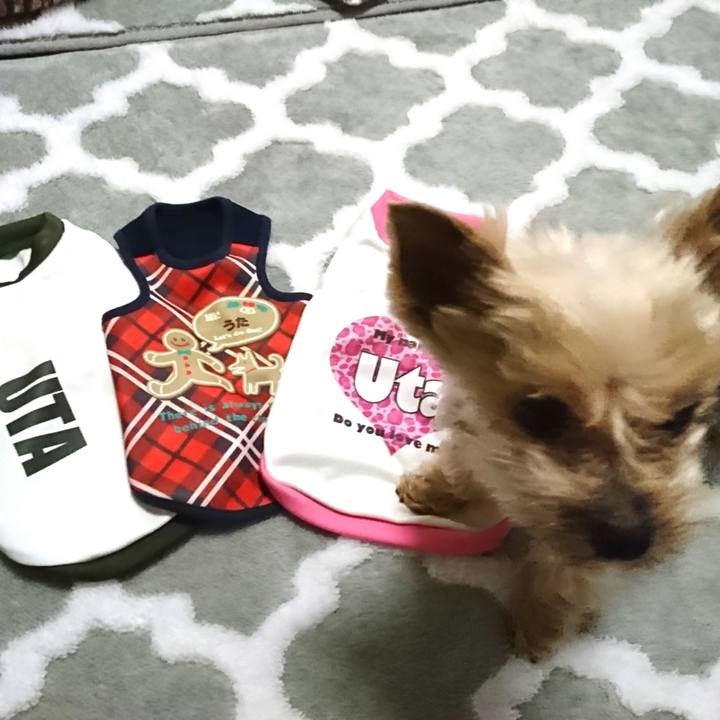 Eae67b9a 9406 494b 9d05 9e29e909346f 1549690825270