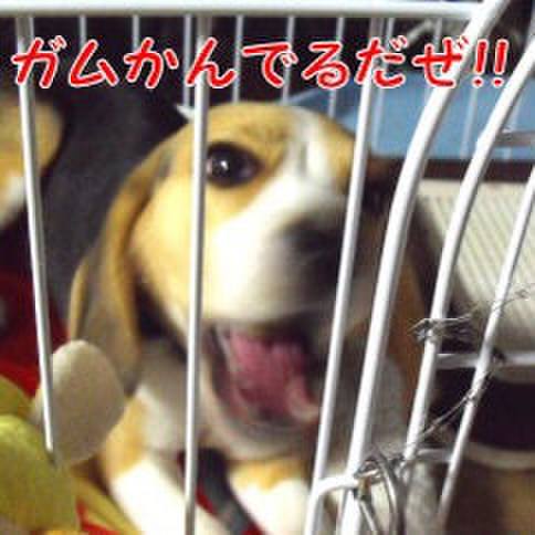 Eae6ab16 1353 474a 973d fe18ca62c3ed 1679443789586