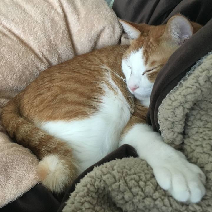 Eae6b4c2 f474 472c aa30 6647ff36d398 1555292748154