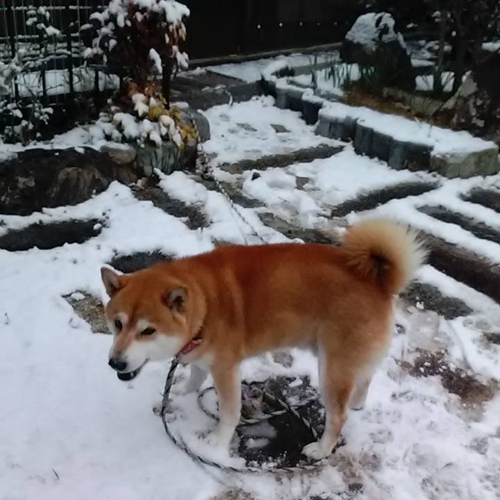 Eae6e96f 0ba5 4079 8539 1928d1cd9765 1610408923395