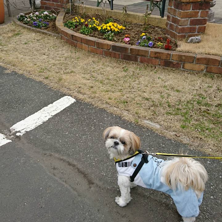 Eae6f205 f927 4647 8622 ac98d1617dba 1552198489933